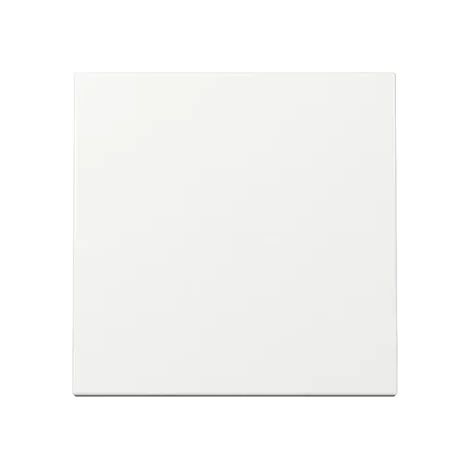 Gira Bilanciere System 55 Bianco puro [329603], 3296 03