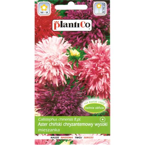 Graines de chrysanthème Platinet (Callisephus chinensis) 1 g