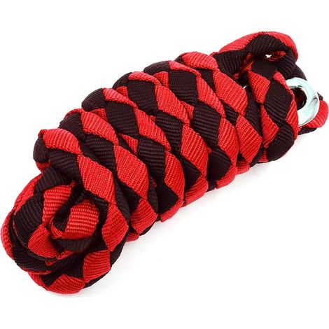Longe de Cheval de 3 m de Long à 4 brins avec Crochet Facile à Clipser, Accessoires équestres (1/5)