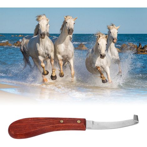 Couteau de Ferrier pour Chevaux - Manche Bois avec Lame Courbe Inox - Droitier, 22.5 cm - pour Taille Sabots et Ferrure (1/5)