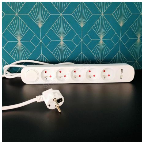 Bloc Multiprise 5 Prises avec USB et Interrupteur (1/5)