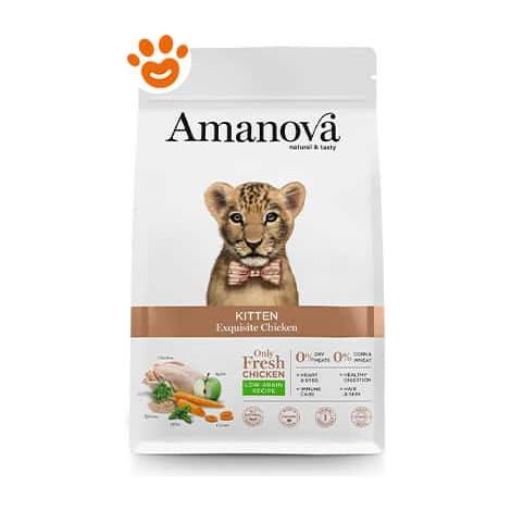 Amanova Cat Kitten Equisite Chicken - Sacco 300 Gr -