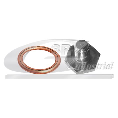 3RG 83502 KIT TAPÃƒâ€œN CÃƒÂRTER Y JUNTA (2PCS)