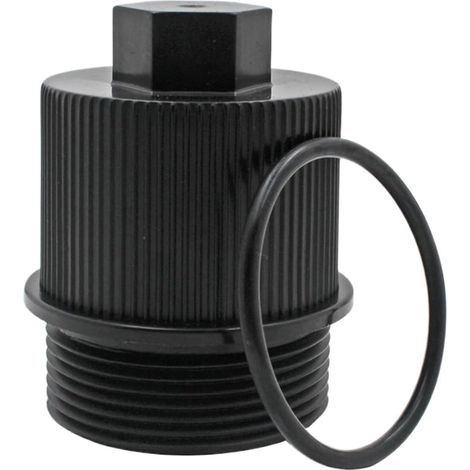 Bouchon de retour pour piscine, bouchon de vidange – Couvercle de rechange pour tuyau de skimmer pour bassin, aspirateur, cartouche, piscine (1/5)