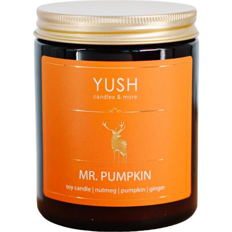 Mr. Pumpkin – Duftkerze aus Sojawachs mit Kürbisgewürz und Ingwer – lecker – 180 ml (1/5)