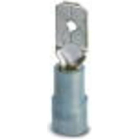 Cosse faston Phoenix Contact, 3240059, Isolé, Bleu, série : C-SCMI (1/2)