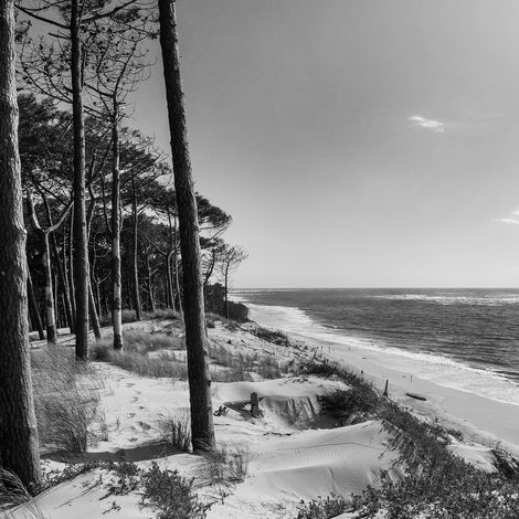 Tableau sur toile bassin d'Arcachon noir et blanc 30x30 cm - Impression sur Toile Murale Décorative - Image imprimée en HD sur Toile - Toile sur Châssis en Bois FSC - Fabriqué en France
