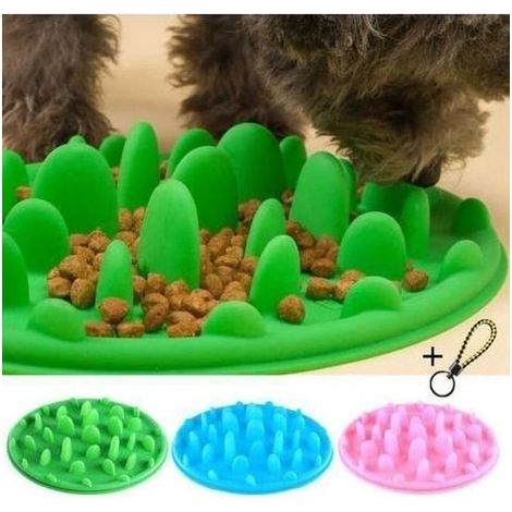 Chien Chat Chiot Gamelle Bol Voyage Antidérapant Anti Glouton Lente Alimentation - vert (1/4)