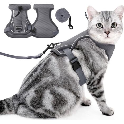 Harnais et de Laisse pour Chat (Gris, S) - Gilet pour Chat Réglable Anti-évasion avec Bandes Réfléchissantes, Contrôle Facile et Marche en Toute Sécurité pour Chats Collier de Chaton de Voyage (1/5)