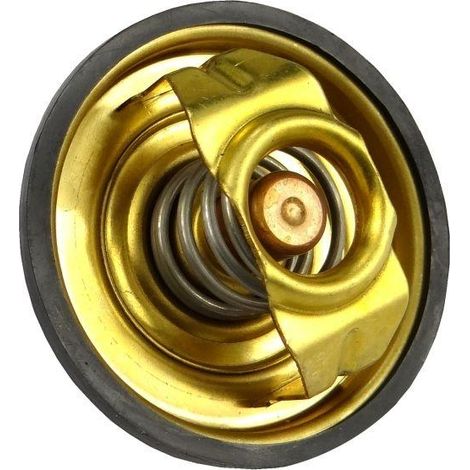 Thermostat 70011316 C-385/Zetor (1/2)