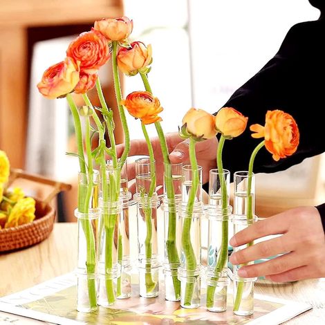 Scharnierreagenzgläser für Blumenvasen, 8er-Set, mit Pinsel – 15 x 2,2 cm