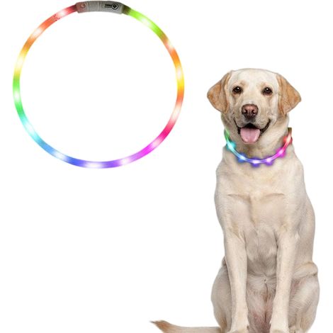 1 collier lumineux pour animal de compagnie - 1 collier lumineux pour animal de compagnie (1/5)
