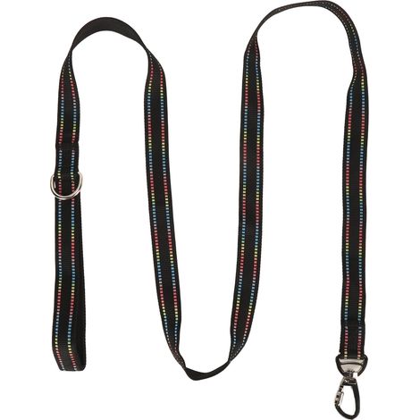 GARRYFIZH Laisse chien fluorescente - Corde de traction sécurisée, verrouillage textile - Pour courses/camping (1/5)