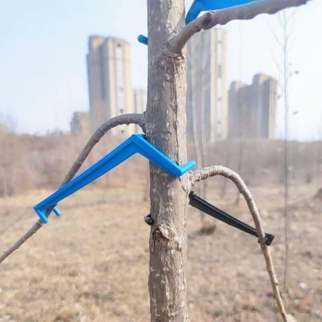 L'épandeur de branches de fruits forme des branches plus fortes sur les pommes et autres arbres fruitiers pour soutenir la croissance de nouvelles branches, support de branche (bleu) 30 pièces (1/4)