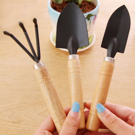Ensemble de mini pelle de jardin pour la plantation en pot de fleurs et de plantes succulentes, outils de désherbage (1/5)