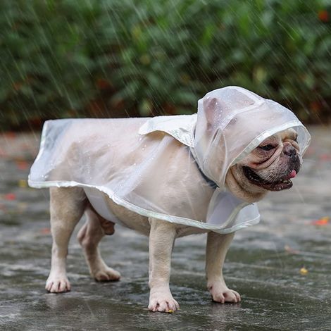 Imperméable pour chien, veste de pluie ajustable avec capuche, veste imperméable transparente pour chien, poncho en EVA pour chiens de petite et moyenne taille