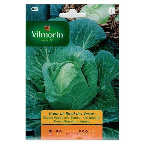 Graines de chou chou coraz’ вN de Ox Vilmorin 6g