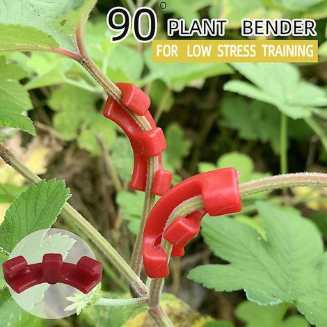 30 pinces de fixation pour cintreuses de plantes, à faible contrainte, pour le dressage des branches. Pince de cintrage à 90 degrés. (1/5)