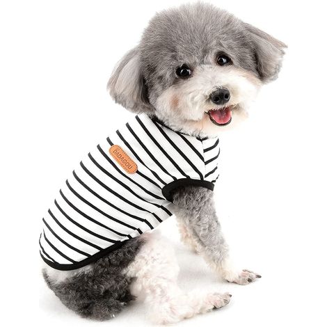 1 T-shirt pour chien, coton doux, respirant, coupe ample, pour chiens petits et moyens, usage intérieur et extérieur (1/5)