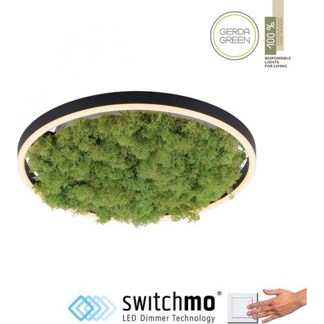 Plafoniera LED 20W muschio verde Leuchten Direkt 39cm (1/5)