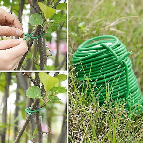 Sangle de fixation torsadée en mousse pour plantes grimpantes de jardin (1/4)