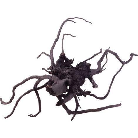 XL Black Spider Wurzel Nr.5254 Fingerwurzel Echtholz Deko Aquascaping