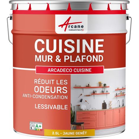 Peinture cuisine, lessivable, absorbe les odeurs - 2.5 L Jaune Genêt - RAL 1032 - ARCANE INDUSTRIES