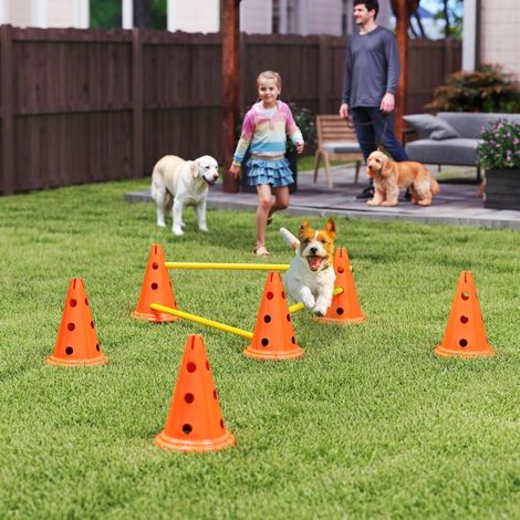 Ensemble Agilité pour chiens, équipement d'agilité 3 pièces pour entraînement canin, kit d'obstacles avec 6 cônes et 3 haies, sac de transport (1/5)