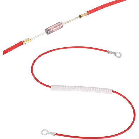 Fusible Thermique Universel Pour Cuiseur À Riz, 76°C 10A 250V Fusible Thermique Métallique Avec Bornes À Anneaux Aux Deux Extrémités Et Gainage En Fibre De Verre (1/5)