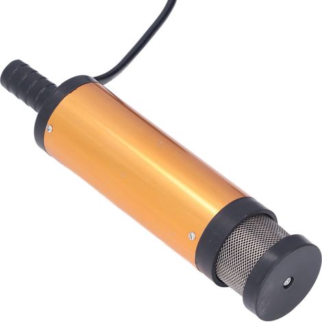 Pompe à huile électrique compacte portable avec filtre pour transfert eau gasoil diesel 12V CC 38mm (1/5)