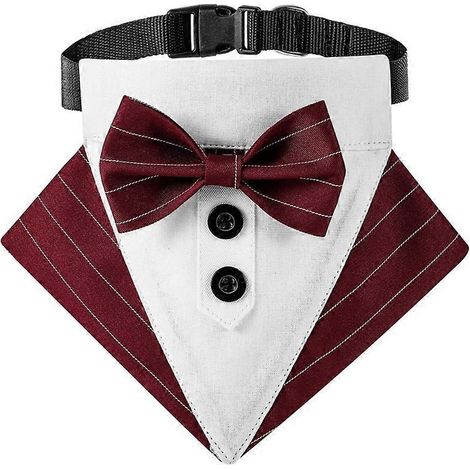 Katzenhalsband mit eleganter Fliege, Prinzen-Fotorequisite, verstellbares rotes Halsband, Größe S, ideal für Katzen-Fotoshootings.
