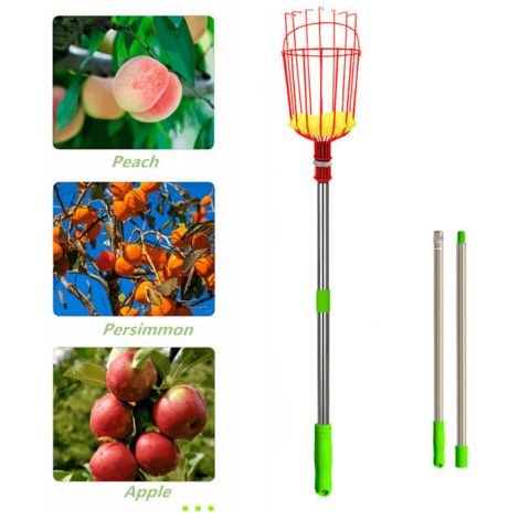 Perche Télescopique Cueilleur de Fruits 2,4m, Tige de Rallonge avec Panier - Outil de Récolte Aérien pour Arbres Fruitiers, Cueillette en Hauteur (1/5)