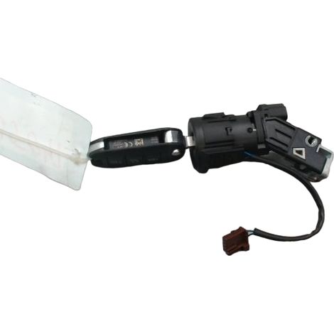 Antivol De Direction PEUGEOT 208 Phase 1 2012-... [PRODUIT D'OCCASION]♻️1608682880 (1/2)