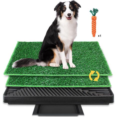 Dog Litter Tray, Dog Litter Tray with Two Artificial Grass Mats, 63 x 51 cm (1/5)