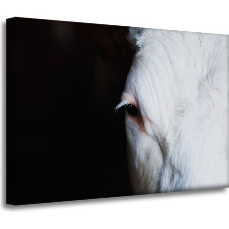 Leinwanddruck „Tiere: Auge einer Kuh“, 70 x 50 cm
