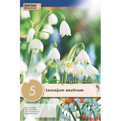 Bulbi Autunnali di Leucojum Aestivum confezione da 5 pz KAPITEYN