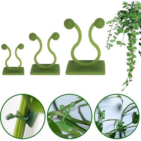 Pinces multifonctionnelles pour plantes grimpantes, fixation murale invisible pour jardins intérieurs et extérieurs, pinces murales auto-adhésives pour plantes avec (1/5)