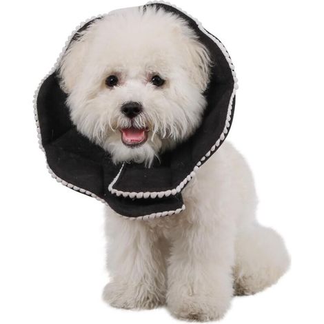Collier post-opératoire confortable pour chats et chiens, solide, imperméable, anti-rayures, anti-morsures, facile à nettoyer, avec fermeture réglable (noir) (1/5)