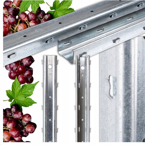 Poteaux de bordure de vigne pour vignes, 60 x 40 mm, hauteur 2,5 m, lot de 6