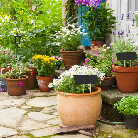 Set mit 12 wetterfesten Pflanzenetiketten aus Metall, ideal für Gemüse, Kräuter und Gewächshausblumen. (1/5)