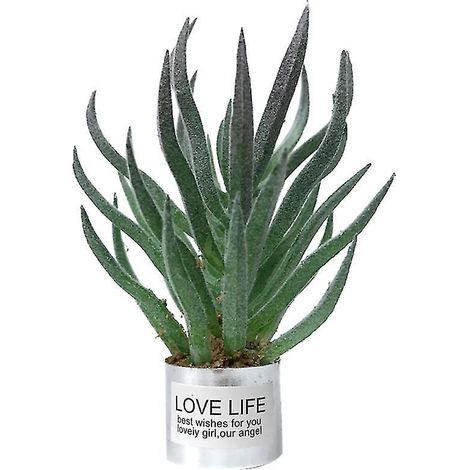 1 mini plante verte (1/3)