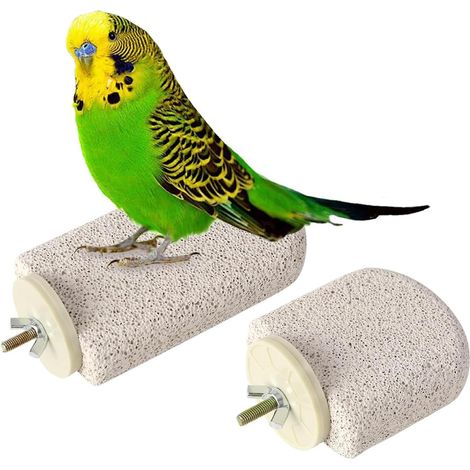 2 Pièces Perchoir Perroquet Kit, Jouet à Mâcher en pour Perroquet (1/5)