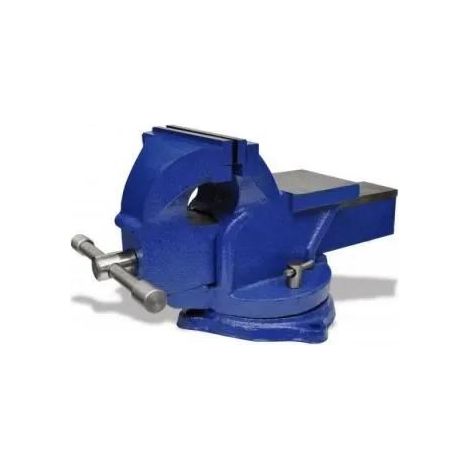 Cogex Professioneller Schraubstock grau aus Gusseisen 125 mm Backen