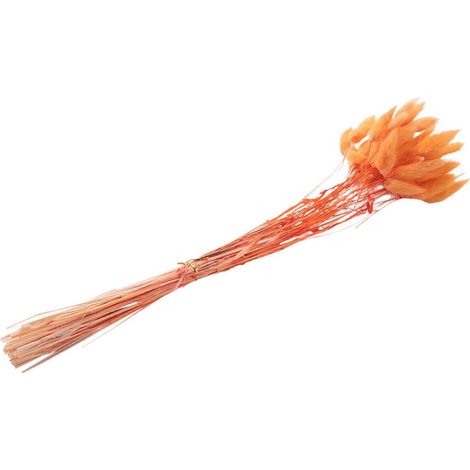 60 getrocknete Herbstblumen in Form eines Hasenschwanzes (orange) (1/5)