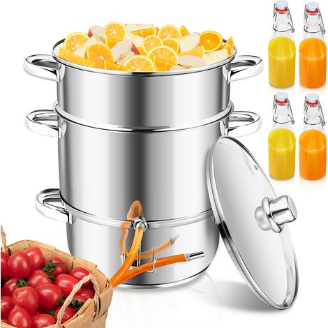Randaco Exprimidor a vapor de 8 l de acero inoxidable con 4 botellas con tapón de clip: exprimidor para frutas y verduras, Ø 26 cm, apto para lavavajillas, para todo tipo de cocinas, incluidas las de (1/5)