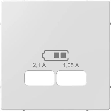 Merten Zentralplatte USB-Ladestationeins. aktivweiss glaenz. (1/2)