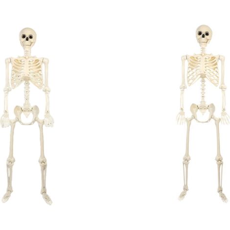 2-teiliges, 40 cm großes, voll bewegliches Halloween-Skelett-Set – Skelett mit Halloween-Gelenken, ideal für Halloween-Dekorationen im Laden, auf Friedhöfen und als Zubehör für Spukhäuser. (1/5)