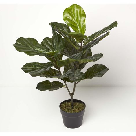 Homescapes Plante artificielle Figuier Lyre en pot, 75 cm (1/5)