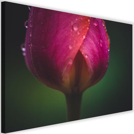 Tableau sur toile Fleur de tulipe rose 60x40 (1/5)