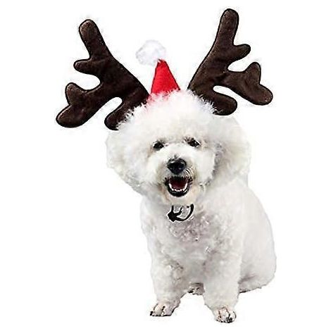 Filiyano-Bandeau de Noël pour animaux de compagnie avec bonnet de Père Noël et grelots (1/4)
